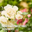 Duaxo_spray-curatief (FR).webp
