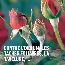 Duaxo_conc-ziekten (FR).webp