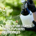 Duaxo_conc-teelten (FR).webp