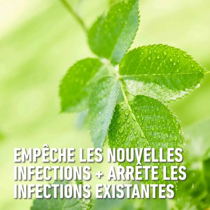 Duaxo_conc-curatief_preventief (FR).webp