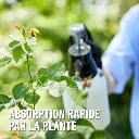 Duaxo_conc-snelle_opname (FR).webp