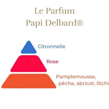 Pyramide_Papi_Delbard_s.webp