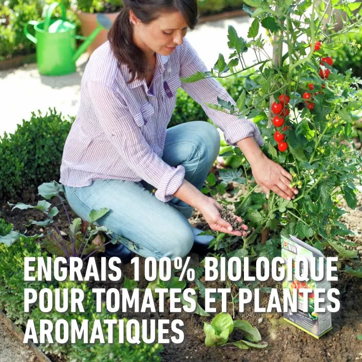 Bio_tomaten-plantensoorten (FR).webp