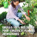 Bio_tomaten-plantensoorten (FR).webp