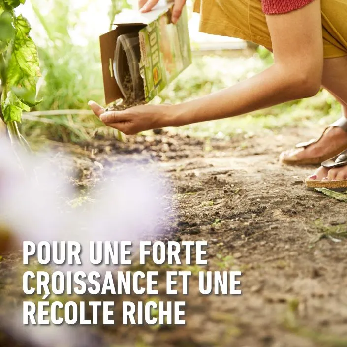 Bio_tomaten-resultaat (FR).webp