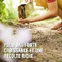 Bio_tomaten-resultaat (FR).webp