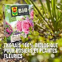 Bio_rozen-plantensoort FR.webp
