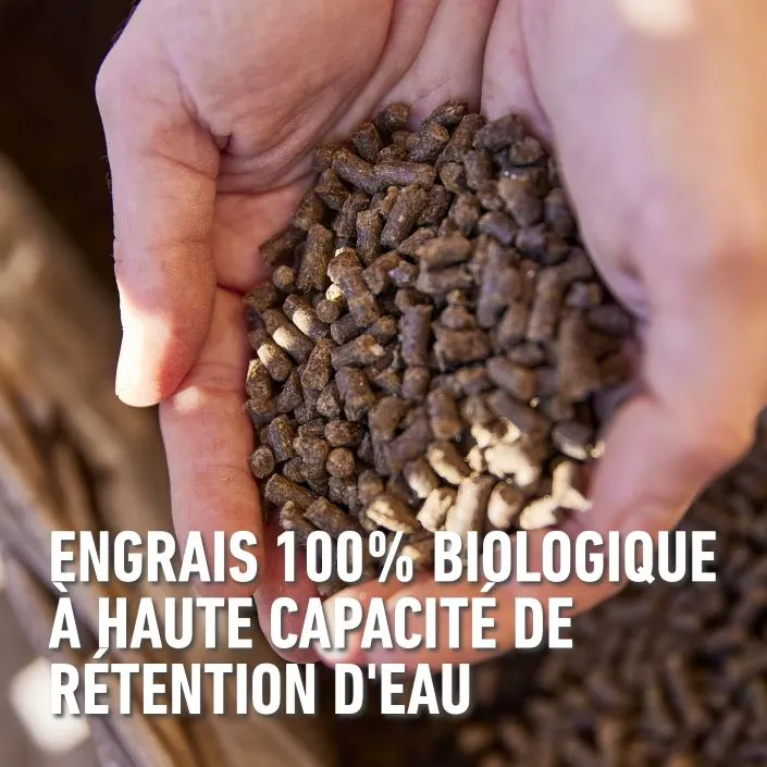 Schapenwol-wateropslag (FR).webp