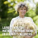 compo-laine-mouton.webp