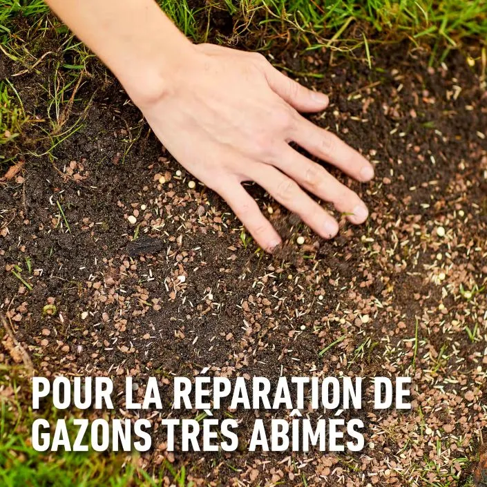 Complete_mix-beschadigd (FR).webp