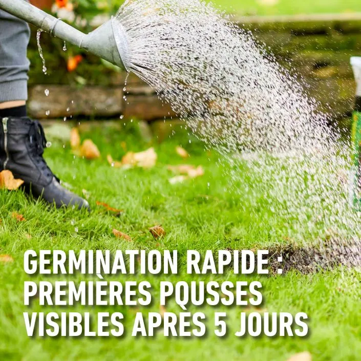 Complete_mix-snelle_kieming (FR).webp