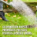 Complete_mix-snelle_kieming (FR).webp