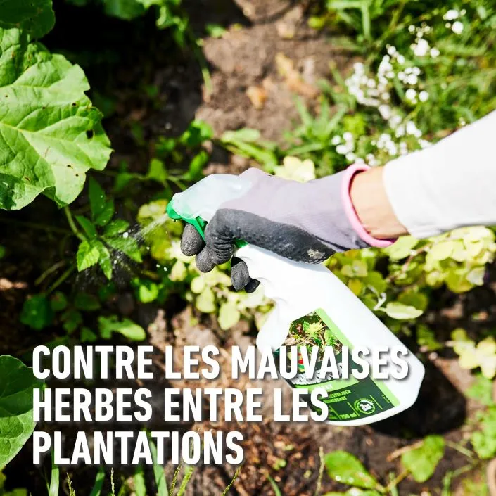 Herbistop_spray_totaal-doel (FR).webp