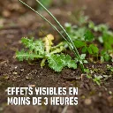 Herbistop_ready_totaal-3_uren (FR).webp