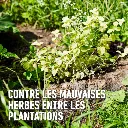 Herbistop_super_totaal-beplantingen (FR).webp
