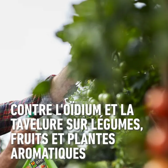 FungiPlus-toepassing (FR).webp