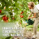 Bio_tomaten-natuurlijk (FR).webp