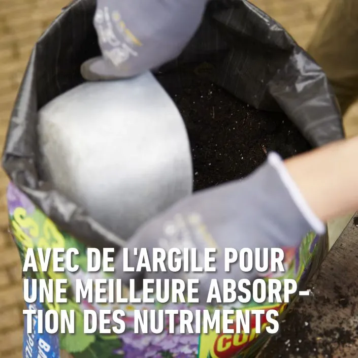 CS_geranium-klei (FR).webp