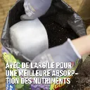 CS_geranium-klei (FR).webp