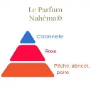 Pyramide_Nahema_s.webp