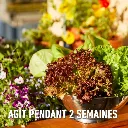 Karate_légumes-2_semaines.webp