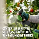 Karate_légumes-objectif.webp
