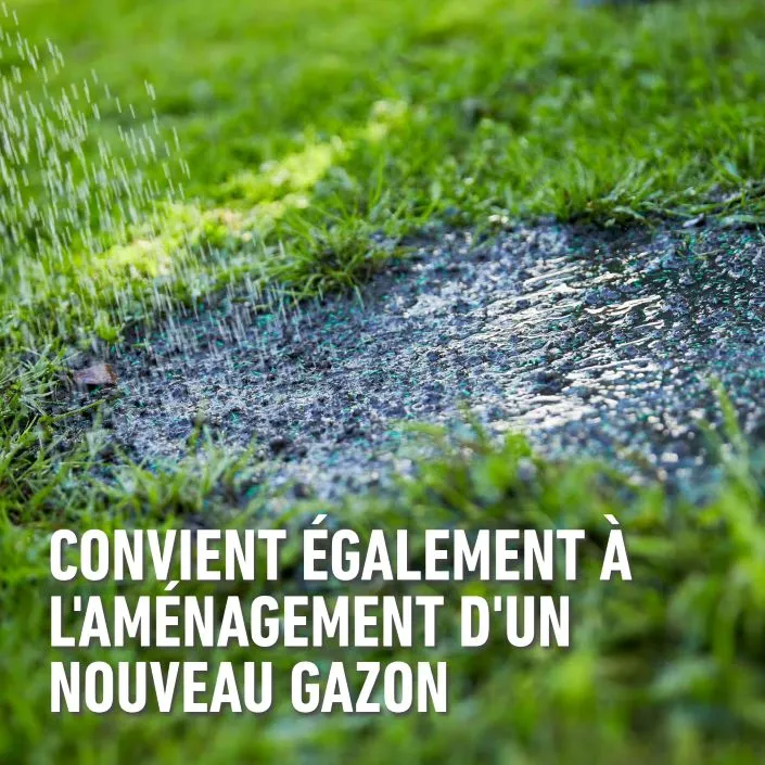 Droog_gazon-aanleg (FR).webp