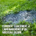 Droog_gazon-aanleg (FR).webp