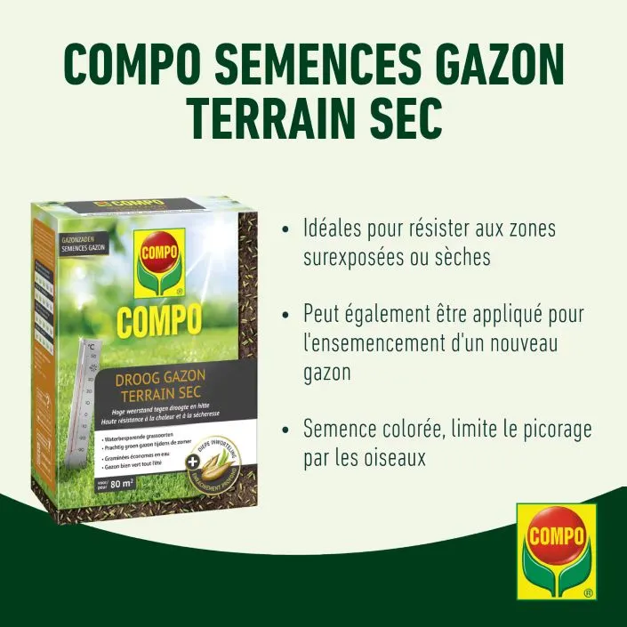 Droog_gazon-USP (FR).webp