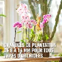 5411196093809 PT02.webp