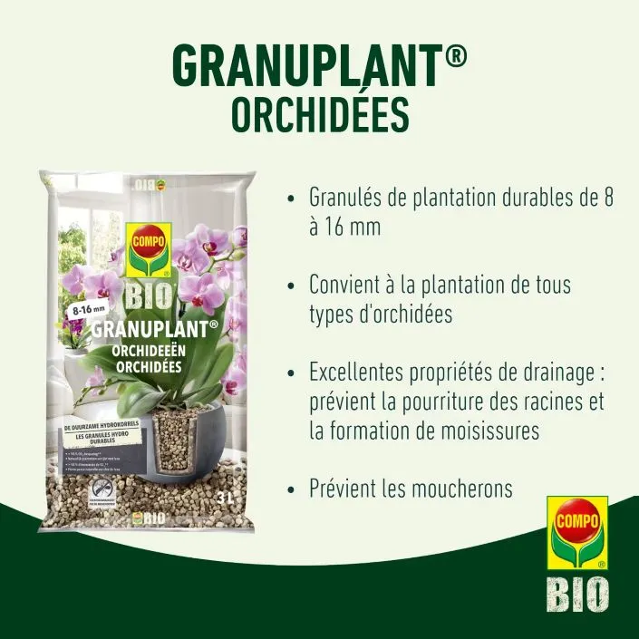 5411196093809 PT01.webp