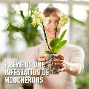 5411196093809 PT05.webp