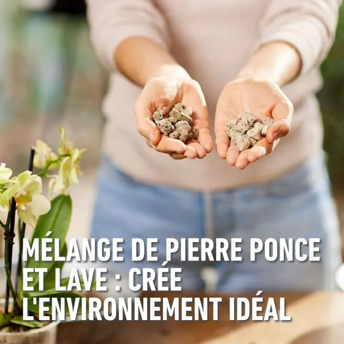 5411196093809 PT03.webp