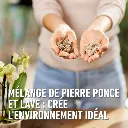 5411196093809 PT03.webp