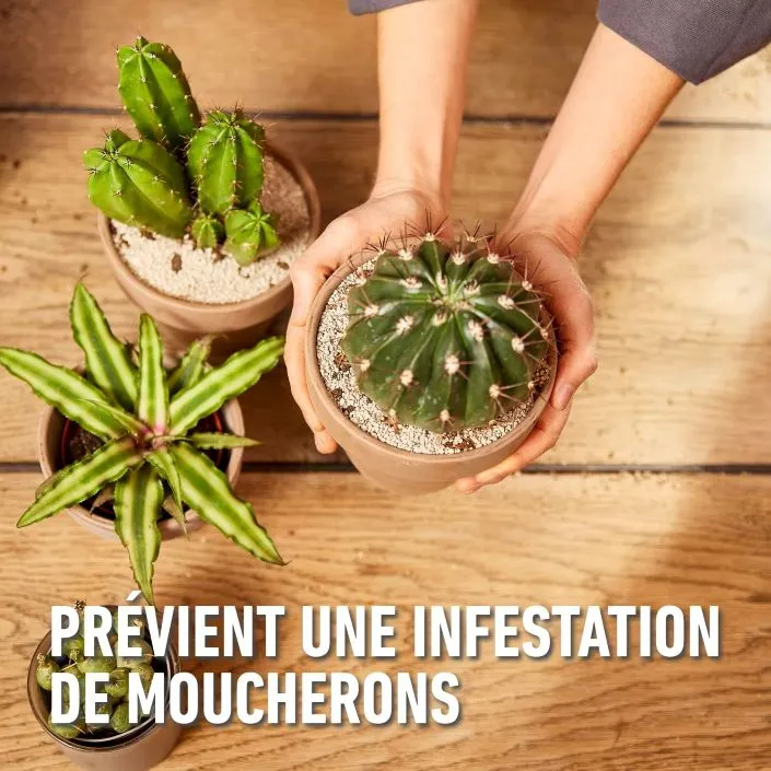 5411196093816 PT04.avif-4.webp