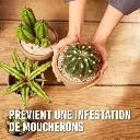 5411196093816 PT04.avif-4.webp