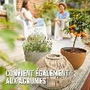 Mediterrane-citrus (FR).webp