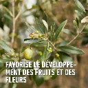 Mediterrane-werking (FR).webp