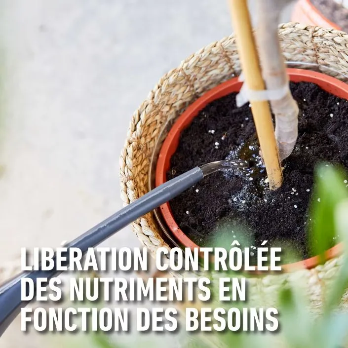 Compo engrais médit oran 2 KG 3.webp