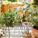 Compo engrais médit oran 2 3.webp