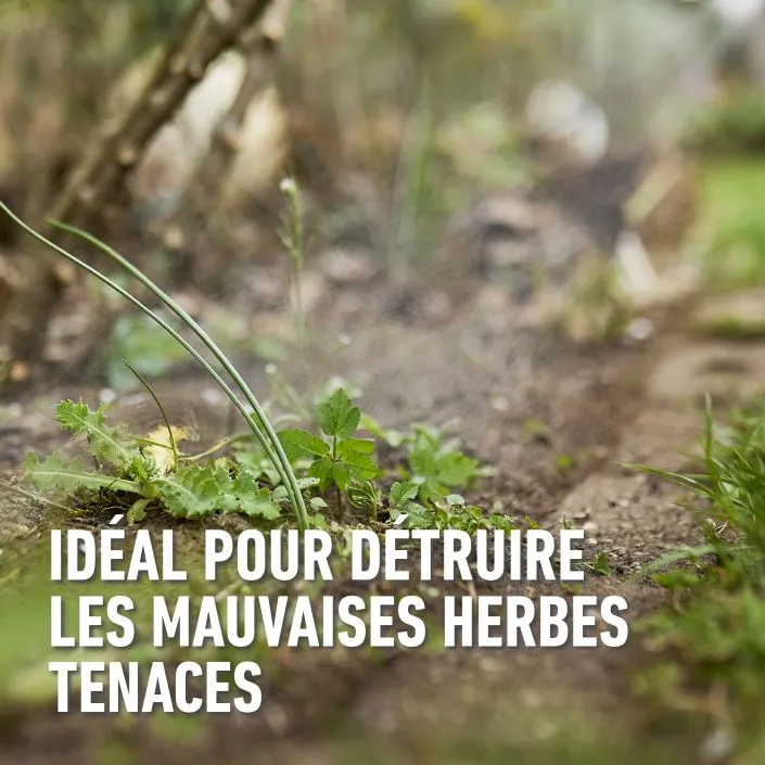 5411196061822 PT01.avif-2.webp