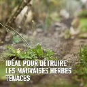 5411196061822 PT01.avif-2.webp