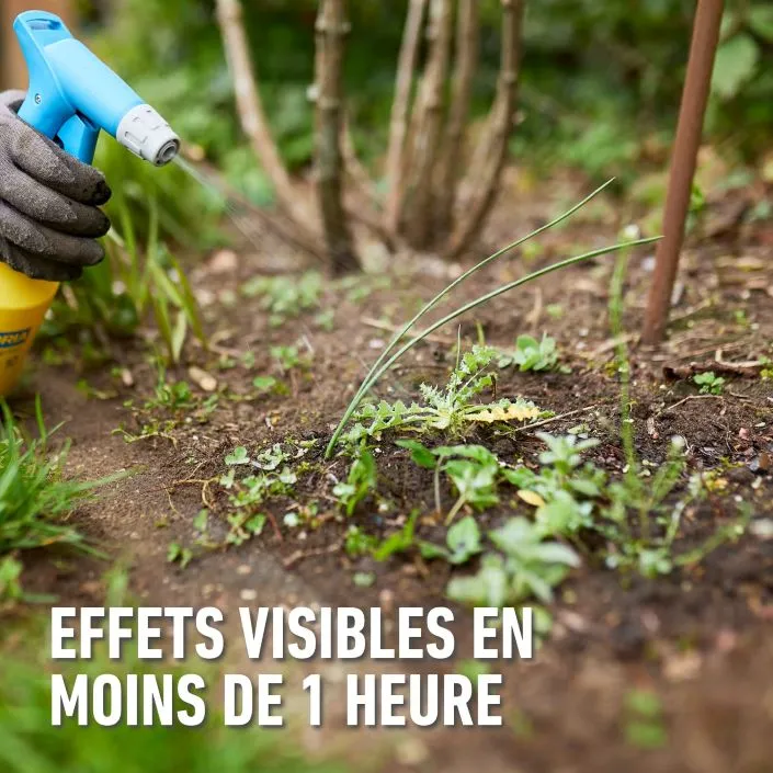 5411196061822 PT01.avif-3.webp