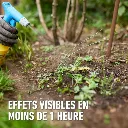 5411196061822 PT01.avif-3.webp