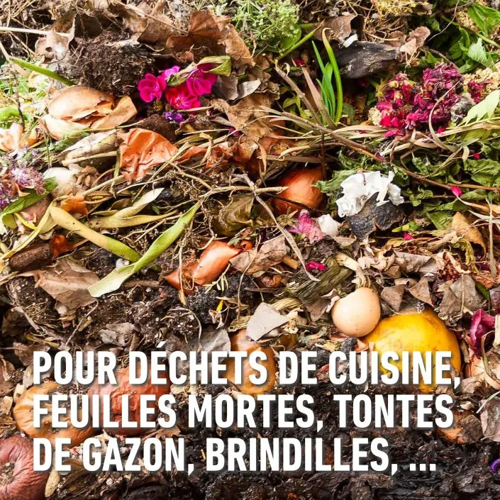 5411196041480 PT04.webp