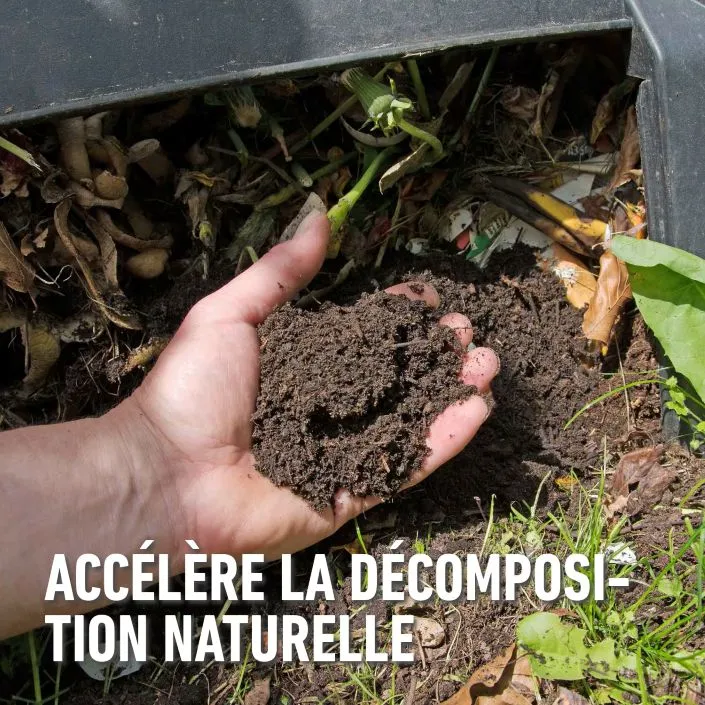 5411196041480 PT03.webp