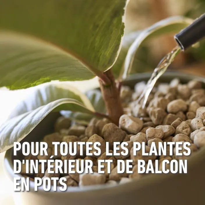 Granuplant_outdoor-plantensoorten (FR).webp