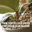 Granuplant_outdoor-plantensoorten (FR).webp