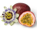 Passiflora Edulis-AdobeStock_211138412.webp