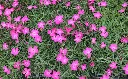 AdobeStock_268377074.webp